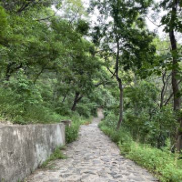 評論圖片 2