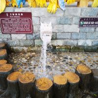 評論圖片 5