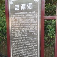 評論圖片 8