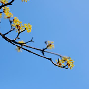評論圖片 4