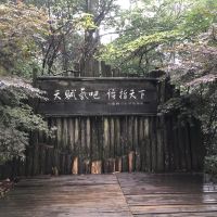 評論圖片 8