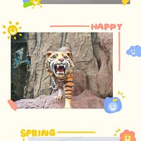 評論圖片 1