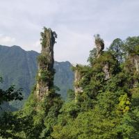 評論圖片 9