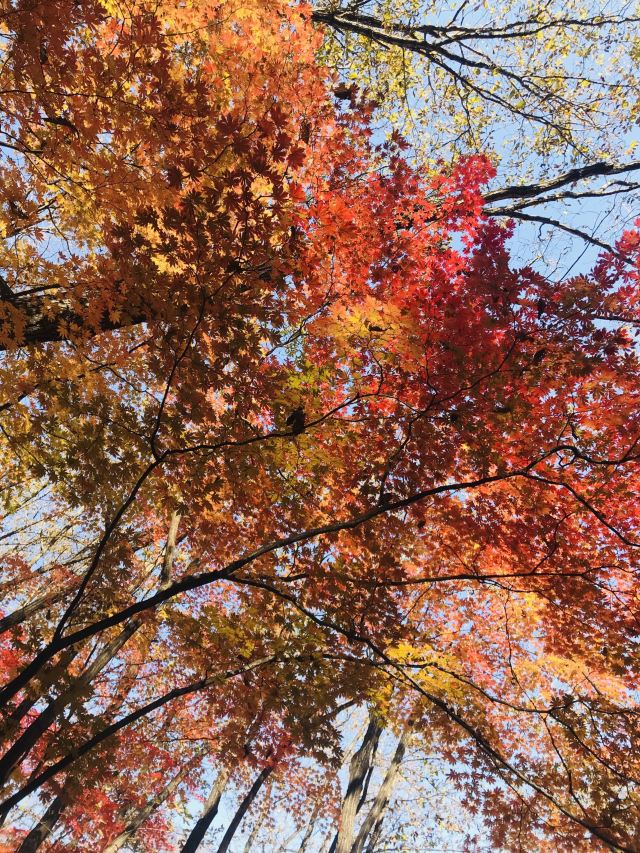 용도구