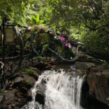 評論圖片 4