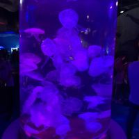 評論圖片 2