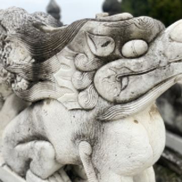 評論圖片 6