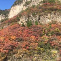 評論圖片 4