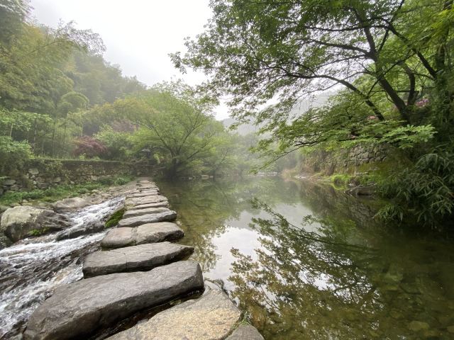 저우둥 소구