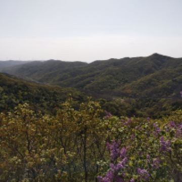 評論圖片 1