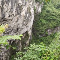 評論圖片 1