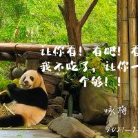 評論圖片 1