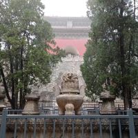 評論圖片 6