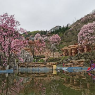 評論圖片 7