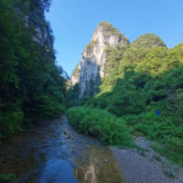 評論圖片 1