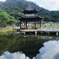 評論圖片 9