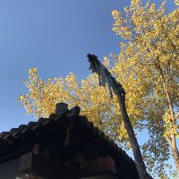 評論圖片 8