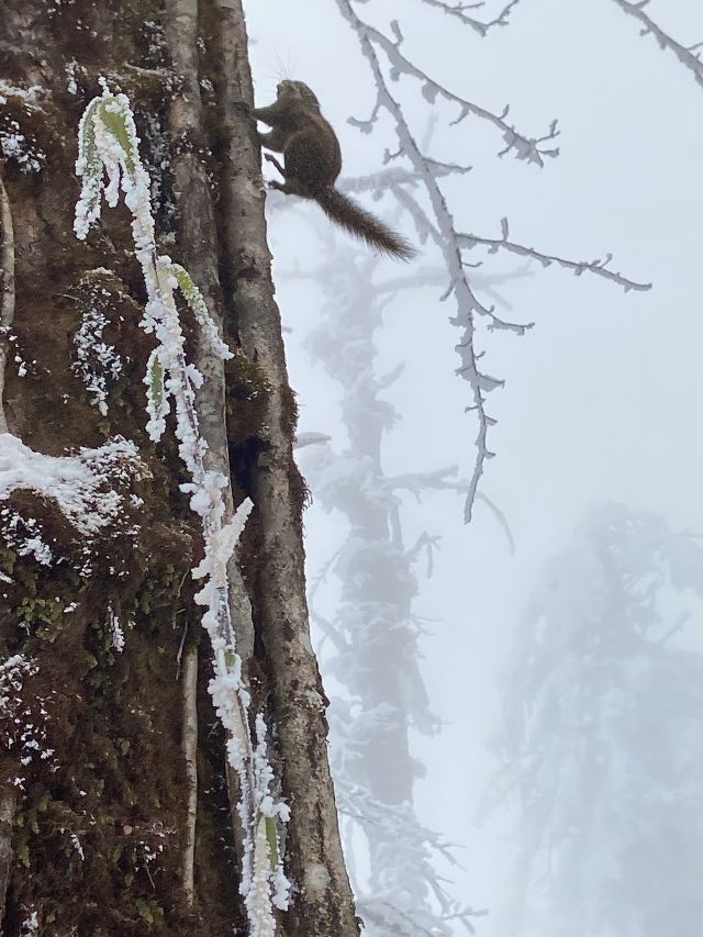 Wawushan Mountain Area