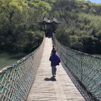 評論圖片 2