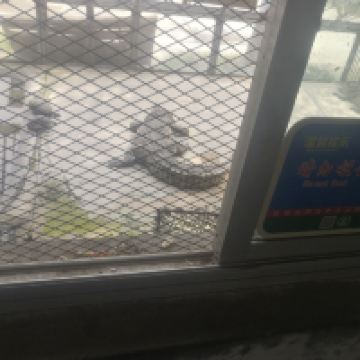評論圖片 7