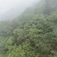 評論圖片 4