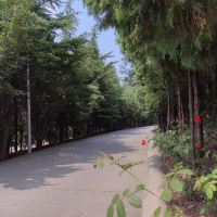 評論圖片 1