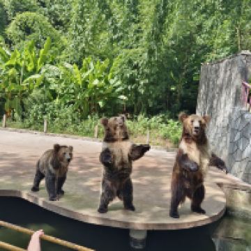 評論圖片 3