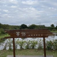 評論圖片 3