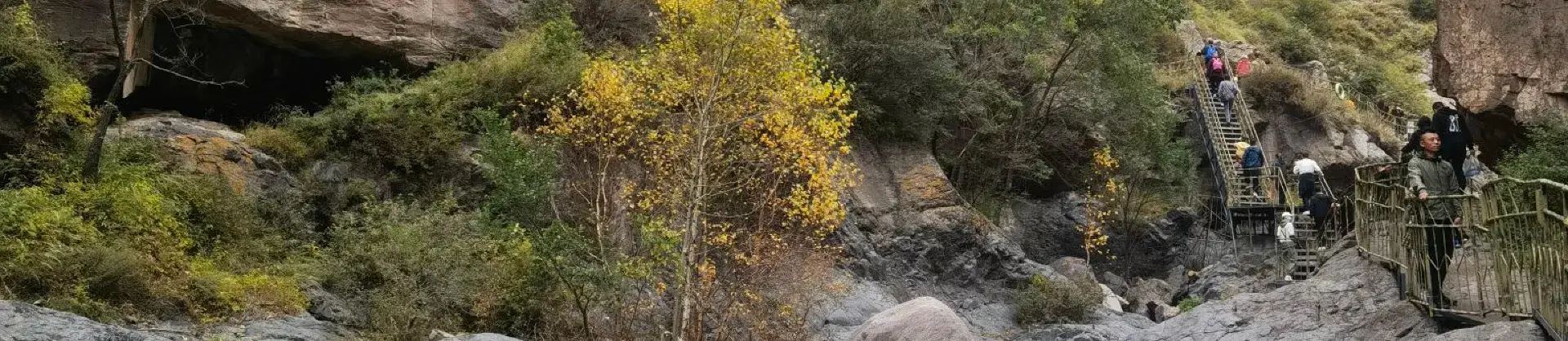 Fall Viewing Attractions