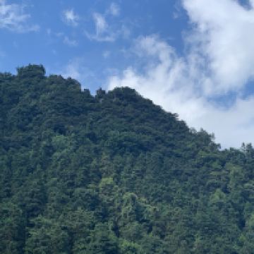 評論圖片 3