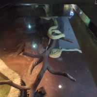 評論圖片 9
