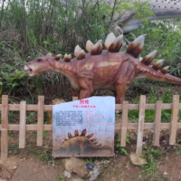 評論圖片 3
