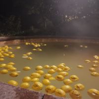 評論圖片 3