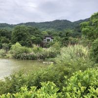評論圖片 6