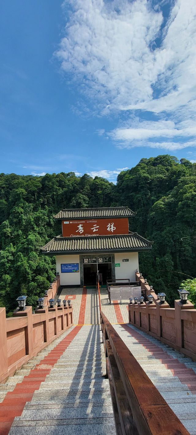 Bifengxia Giant Panda Base