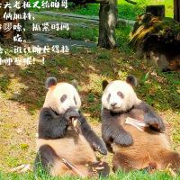 評論圖片 2