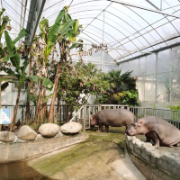 評論圖片 7