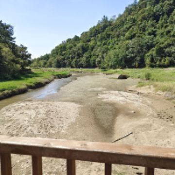 評論圖片 1