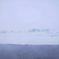 評論圖片 4