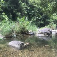 評論圖片 1