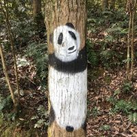 評論圖片 9