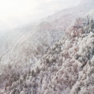 評論圖片 7