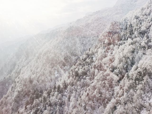 Wawushan Mountain Area