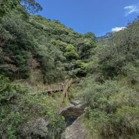評論圖片 8