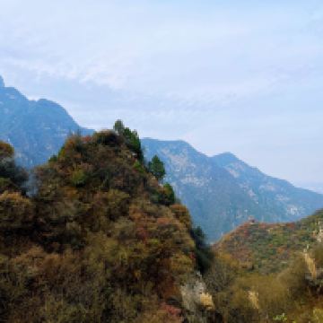 評論圖片 6