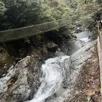 評論圖片 9