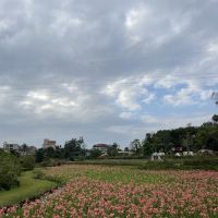 評論圖片 4