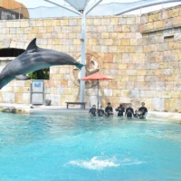 評論圖片 3