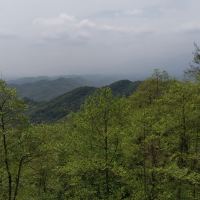 評論圖片 4