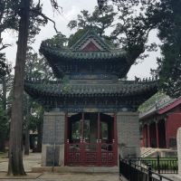 評論圖片 4
